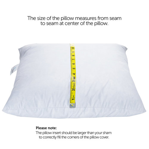 Wayfair White Throw Pillows You'll Love in 2023